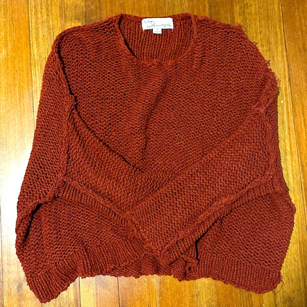 Rust colored Vintage Havana sweater